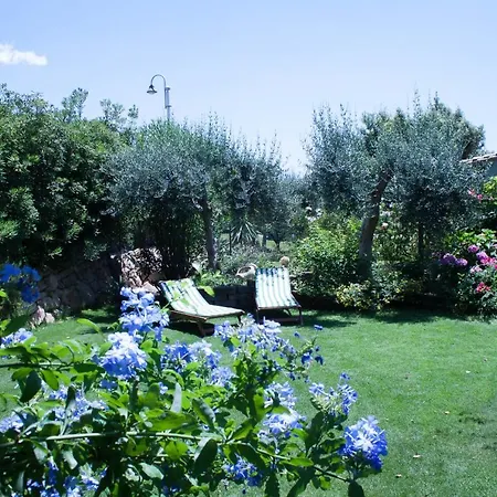 Tatil Evi Sweet Simius *