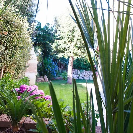 Tatil Evi Sweet Simius *