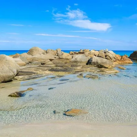 Sweet Simius Tatil Evi